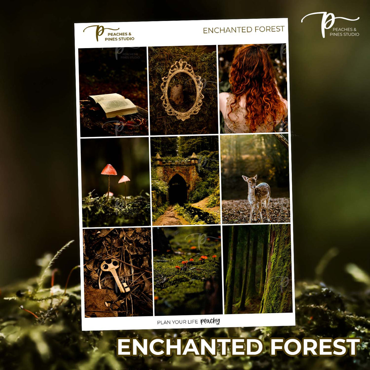 Enchanted Forest - Photo Weekly Kit
