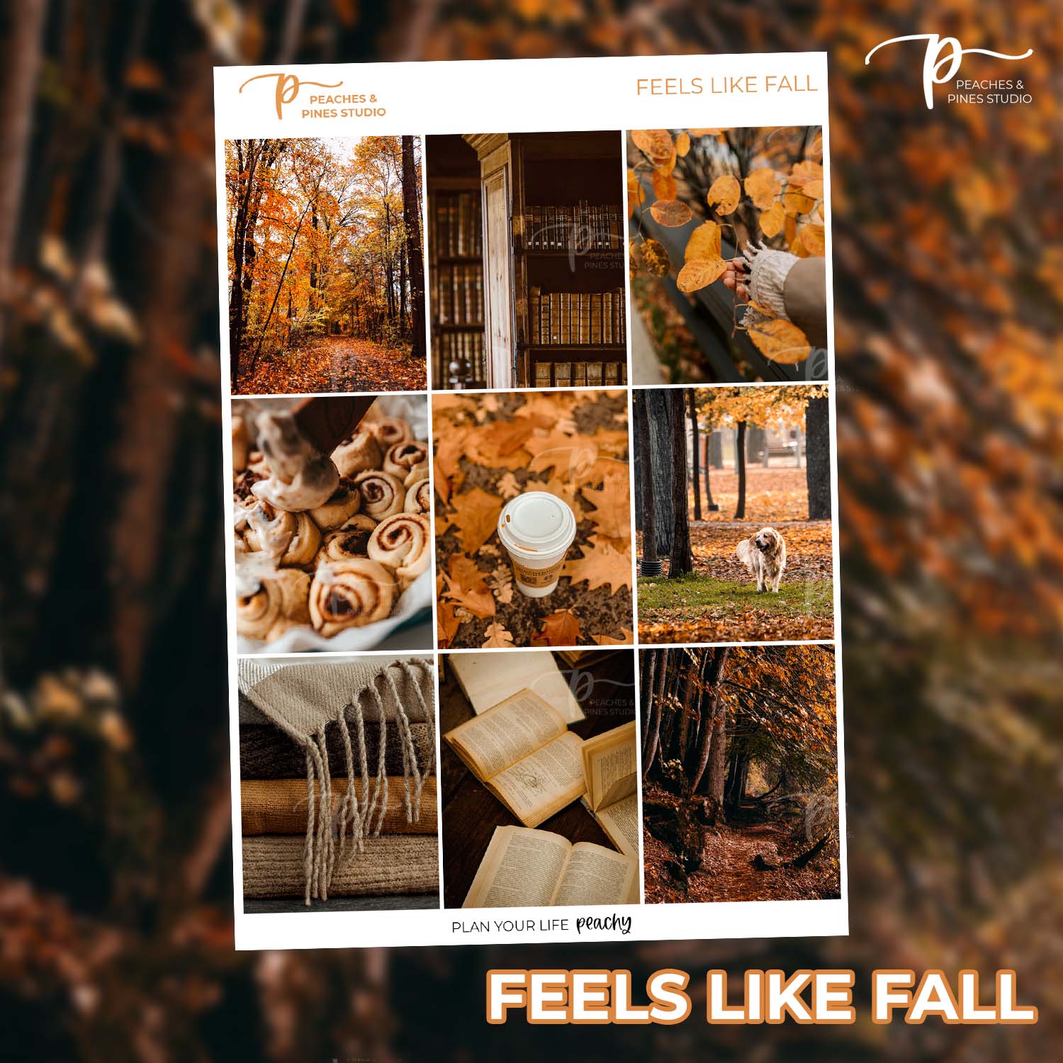 Feels Like Fall - Photo Weekly Kit