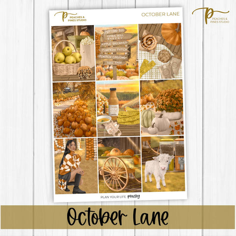 October Lane - Weekly Kit