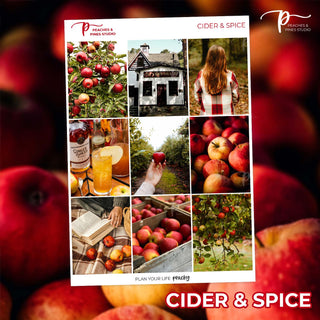Cider & Spice Photo Weekly Kit - Planner Stickers For Vertical 7x9 Planners Like Erin Condren EC