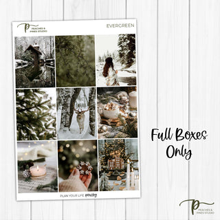 Evergreen - Photo Weekly Kit