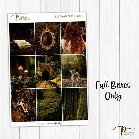 Enchanted Forest - Photo Weekly Kit