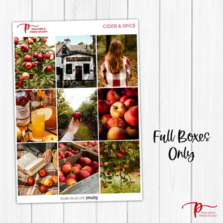 Cider & Spice Photo Weekly Kit - Planner Stickers For Vertical 7x9 Planners Like Erin Condren EC